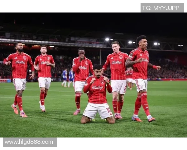 聚焦瑞士拜仁足球球星成长之路与赛场辉煌瞬间